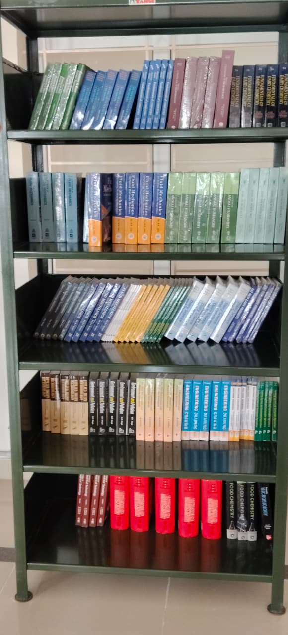 Organized bookshelves and reading zones